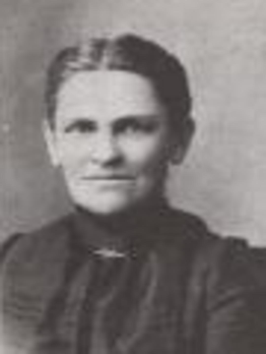 Caroline Eliza Saunders (1853 - 1914) Profile